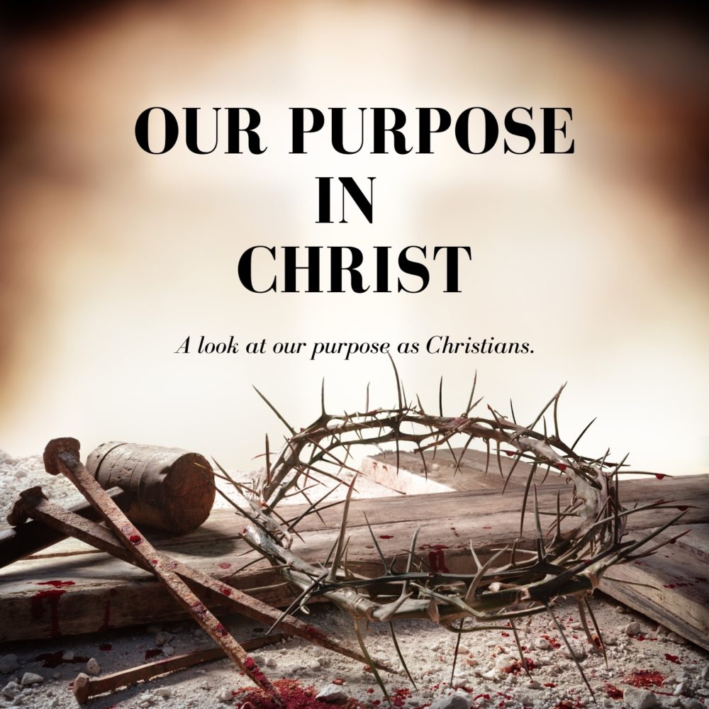 Our Purpose in Christ Image