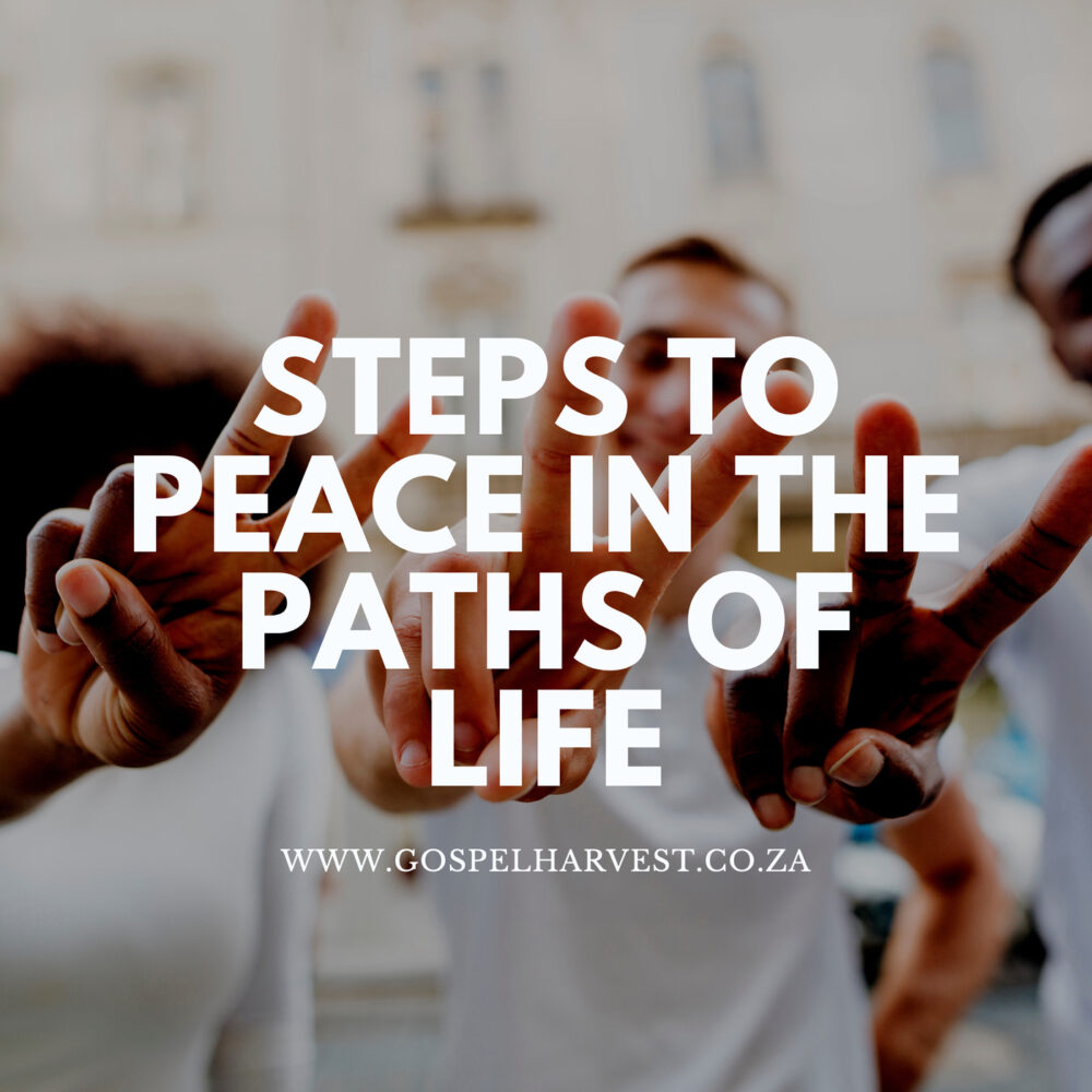 STEPS TO PEACE IN THE PATHS OF LIFE Image