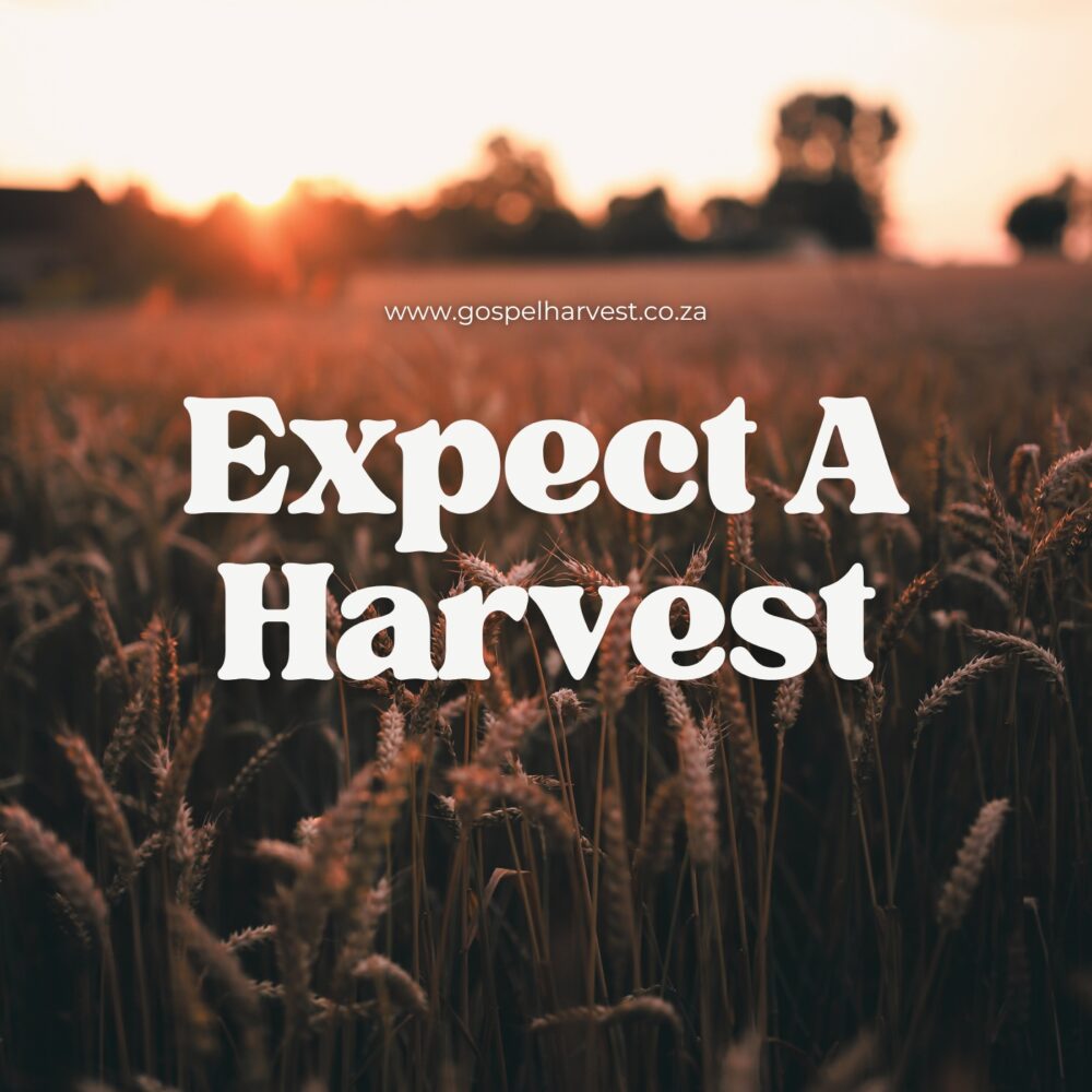 Expect a Harvest