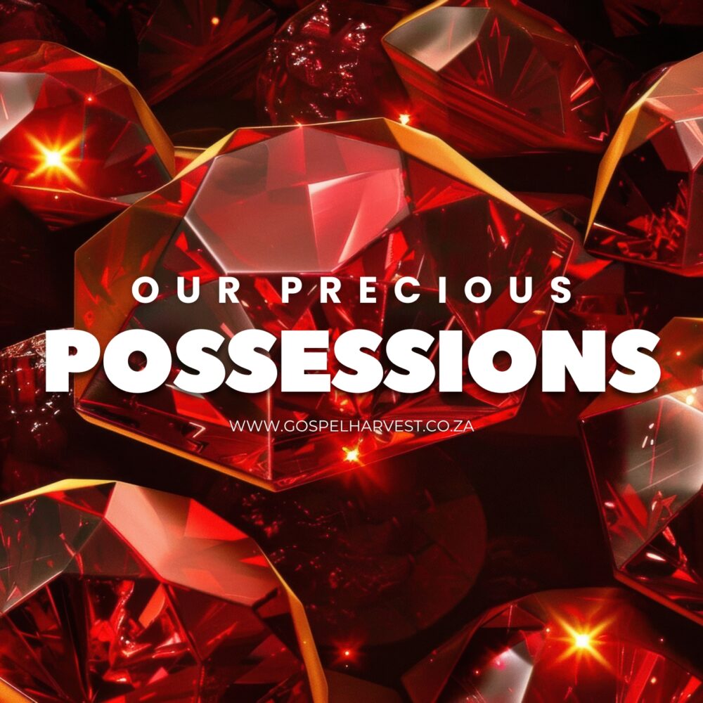 Our Precious Possessions