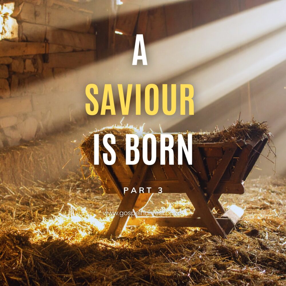 A Saviour Is Born - Part 3 Image