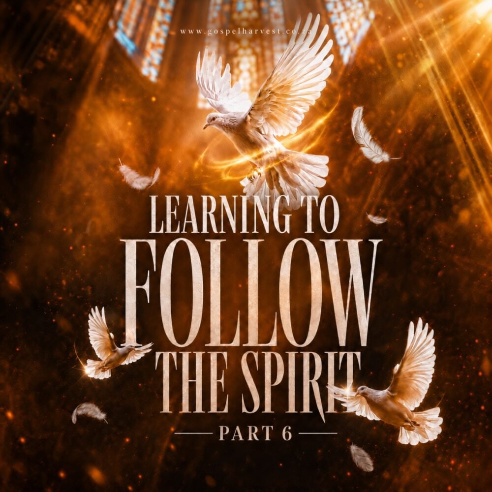 Learning to Follow the Spirit - Part 6 Image